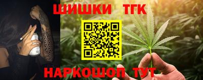 дмт Камышлов