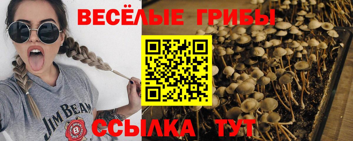 Галлюциногенные грибы мицелий Кувандык