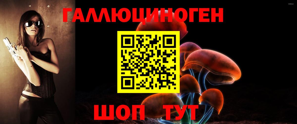 Кувандык  Псилоцибиновые грибы мицелий  Вход с VPN 